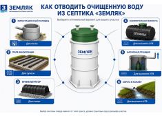Зорде Рейн 5 Лонг